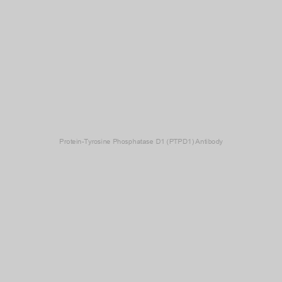 Abbexa - Protein-Tyrosine Phosphatase D1 (PTPD1) Antibody